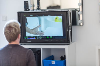 Stockvideo Abo oder Einzelkauf: Der komplette Vergleich 2026