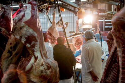 Behind the Scenes: Stockvideo für mehrere Kunden: Gleichzeitige Nutzung erlaubt?