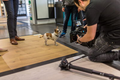 Behind the Scenes: 8K Display Stockvideo Auflösung: Zukunftssichere Videoproduktion
