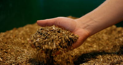 Hand greift in einen Haufen aus gehäckseltem Pflanzenmaterial und lässt die trockene Biomasse langsam durch die Finger gleiten