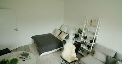 Moderne Einzimmerwohnung im skandinavischen Stil mit kombiniertem Schlaf-, Wohn- und Essbereich