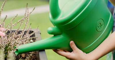 Nahaufnahme von Kinderhänden beim Bewässern von Heidekraut mit einer grünen Gießkanne im Garten