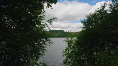 Blick zwischen dunklen Bäumen hindurch auf einen weiten See, Blick durch Bäume, See zwischen Bäumen und natürlicher Rahmen
