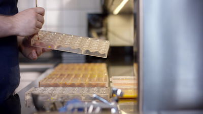 Chocolatier hält durchsichtige Pralinenform in der Confiserie, Pralinen herstellen, Chocolatier bei der Arbeit und