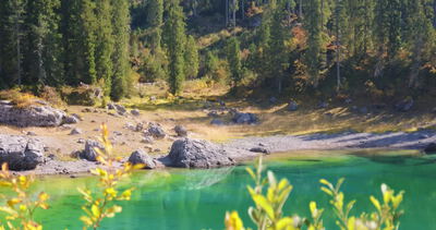 Seeufer mit Felsblöcken und smaragdgrünem Wasser hinter gelbem Laub