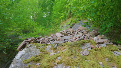 Steinhaufen auf einem moosbewachsenen Felsen im grünen Wald Steinhaufen auf einem moosbewachsenen Felsen im grünen Wald, Felsen im Wald, moosbewachsener Felsen und großer Felsen als 4K