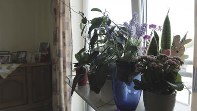 Frühlingshaftes Blumenarrangement in blauer Vase am Fensterbrett