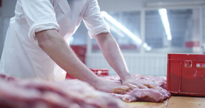 Metzger drückt rohes Fleisch mit beiden Händen flach auf dem Arbeitstisch