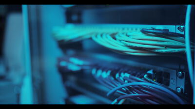 Bunte Netzwerkkabel an einem Serverschrank im blauen Licht