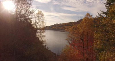 Drohnenflug durch bunte Herbstbäume über einem Waldsee