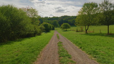 Feldweg mit Grasstreifen führt zwischen Wiesen und Bäumen hindurch, Schotterweg, unbefestigter Weg und Weg zwischen Wiesen