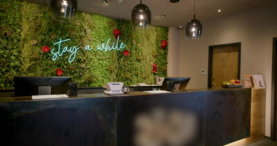 Rezeptionstheke im Boutique Hotel vor beleuchteter Mooswand: Rezeptionstheke, Hotelempfang