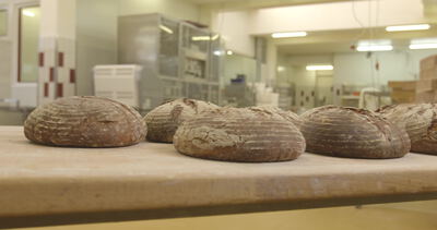 Sauerteigbrote liegen auf Holzbrettern in der Bäckerei