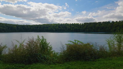 Seitliche Fahrt am Ufer eines Waldsees unter Wolkenhimmel Seitliche Fahrt am Ufer eines Waldsees unter Wolkenhimmel, seitliche Kamerafahrt, Kamerafahrt am Ufer und Fahrt am See als