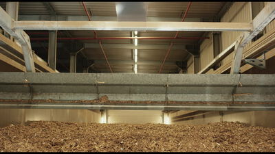 Kranbrücke über Betonwand im Holzhackschnitzel Brennstoffbunker