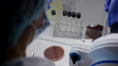 Technikerin bereitet Bakterienkulturen im Mikrobiologielabor vor, Mikrobiologielabor Aufnahmen, Petrischale Nährboden und