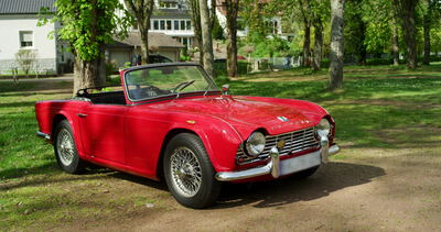 Roter Oldtimer Sportwagen als Cabrio auf grüner Wiese im Park: roter Oldtimer, klassischer Sportwagen