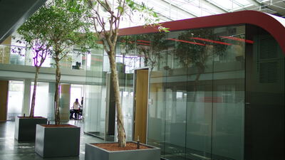 Moderne Bürohalle mit Innenbaum und Glaswänden