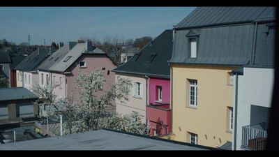 Bunte Reihenhäuser mit Mansarddächern und blühendem Baum