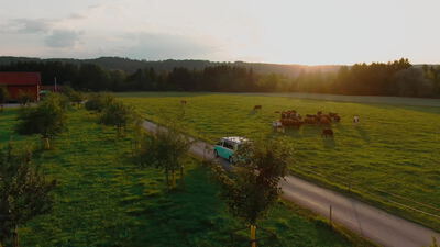 Türkisfarbener Campingbus fährt bei Sonnenuntergang an einer Kuhweide vorbei