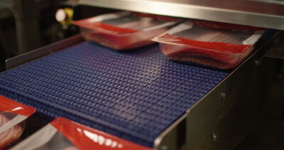 Verpackte Fleischschalen laufen über das blaue Förderband einer Anlage: Förderband, Verpackungsanlage