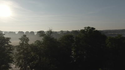 Drohnenflug über nebligen Wald am frühen Morgen Drohnenflug über nebligen Wald am frühen Morgen, Morgennebel, Nebelwald und Baumkronen als 4K Stockvideo
