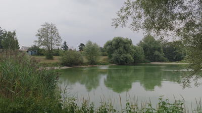 See spiegelt Weidenbäume und ein kleines Haus am gegenüberliegenden Ufer: See mit Weidenbaum, Teich mit Haus im Hintergrund