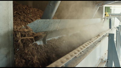 Biomasse rutscht über eine Metallrutsche auf ein Förderband