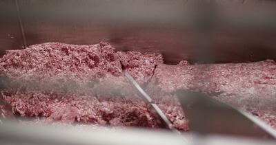 Großmischer wendet Hackfleisch für die Wurstrezeptur