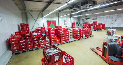 Rote Transportkisten stapeln sich in der Kühlhalle eines Lebensmittelbetriebs