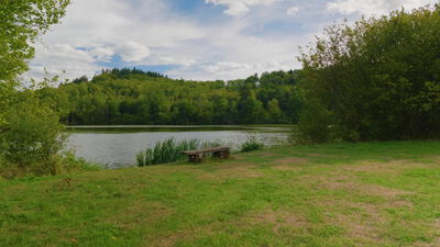 Rustikale Holzbank auf einer Wiese am ruhigen Seeufer Rustikale Holzbank auf einer Wiese am ruhigen Seeufer, Holzbank am See, Bank aus Holz und Sitzbank am Ufer als 4K Stockvideo