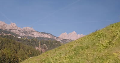 Berghang mit Wiese vor zackigen Felsgipfeln und Nadelwald