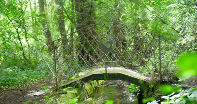 Alte moosbewachsene Steinbrücke in einem grünen Wald
