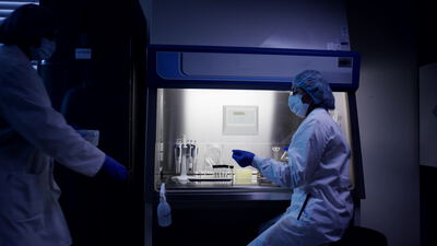 Wissenschaftlerin arbeitet an Sicherheitswerkbank im Labor Wissenschaftlerin arbeitet an Sicherheitswerkbank im Labor, Labor Sicherheitswerkbank, Laborarbeit Video lizenzfrei und