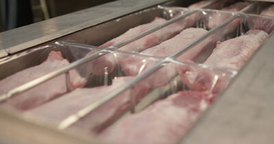 Rohes Schweinefleisch liegt in der Edelstahlwanne