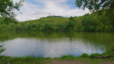 Ruhiger See spiegelt den bewaldeten Hügel am Gegenufer Ruhiger See spiegelt den bewaldeten Hügel am Gegenufer, Spiegelung im See, Seespiegelung und Wasserspiegelung als 4K
