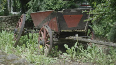 Alter Holzwagen steht in einem verwilderten grünen Garten, alter Leiterwagen, Pferdewagen und antiker Bauernwagen als 4K