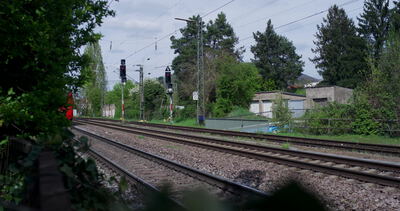 Bahngleise ziehen durch grüne Landschaft mit Signalen