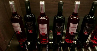 Roséweinflaschen ruhen im dunklen Weinregal einer Weinhandlung