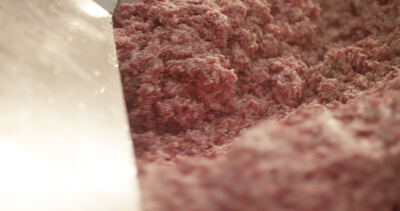 Hackfleisch türmt sich in der Edelstahlwanne der Fleischverarbeitung