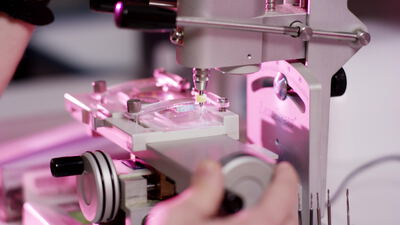 Mikroinjektion an einem Mikromanipulator im Labor unter rosa Licht
