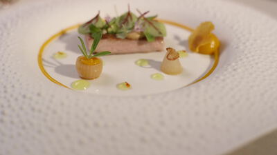Terrinenscheibe mit feinen Kräutern auf weißem Teller Terrinenscheibe mit feinen Kräutern auf weißem Teller, Terrine angerichtet, glasierte Schalotten und junge Kräuterblätter