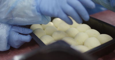 Teigkugeln werden in der Lebensmittelproduktion in Schalen gelegt