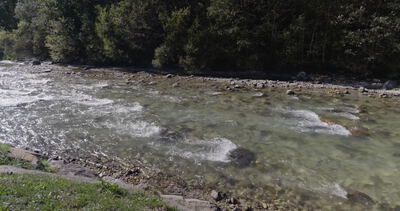 Stromschnellen im Gebirgsfluss vor dichtem Wald am Ufer Stromschnellen im Gebirgsfluss vor dichtem Wald am Ufer, dichter Wald, Waldufer und rauschender Fluss als 4K Stockvideo