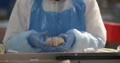 Kohlroulade mit Speck wird von Hand in Schutzkleidung gewickelt