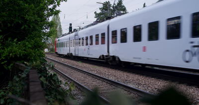 Weißer Nahverkehrszug fährt an grüner Bahnstrecke vorbei