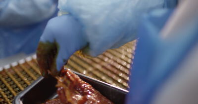 Mariniertes Fleisch wird mit blauen Handschuhen in eine Schale gelegt
