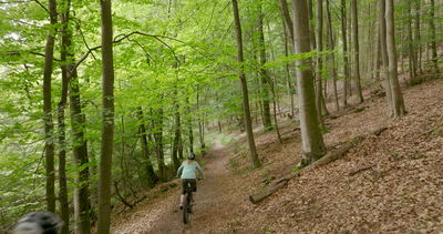 Luftaufnahme von Mountainbikern auf einem Waldweg