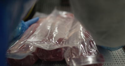 Vakuumverpackung von rohem Fleisch auf dem Förderband: Vakuumverpackung, Vakuumbeutel