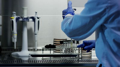 Laborkraft arbeitet mit Reagenzgläsern in der Sicherheitswerkbank, Labor Aufnahmen, Labor Video lizenzfrei und Mikrobiologie